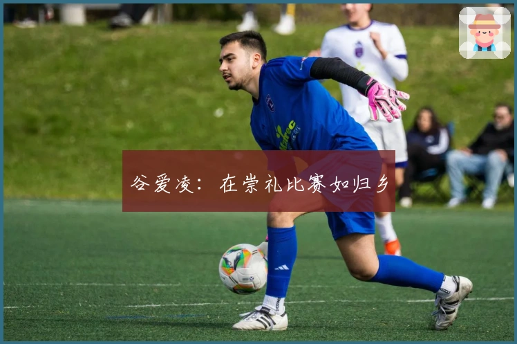 谷爱凌：在崇礼比赛如归乡