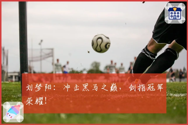 刘梦阳：冲击黑马之巅，剑指冠军荣耀！