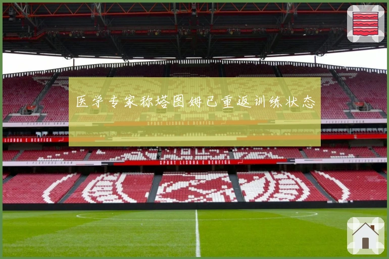 医学专家称塔图姆已重返训练状态