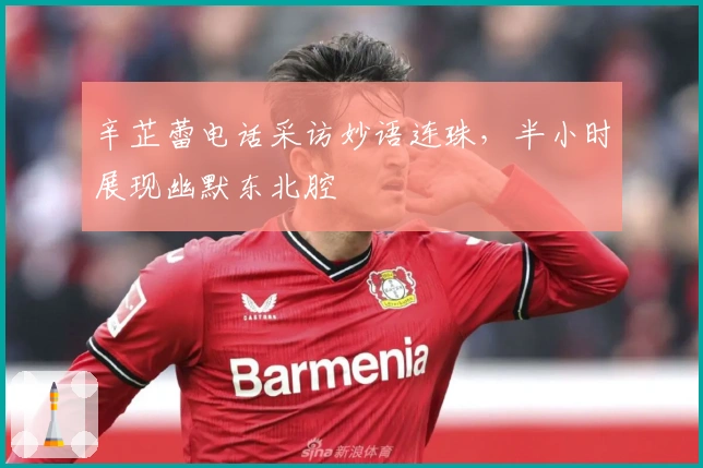 辛芷蕾电话采访妙语连珠，半小时展现幽默东北腔