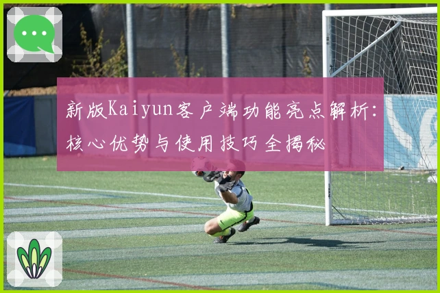 新版Kaiyun客户端功能亮点解析：核心优势与使用技巧全揭秘