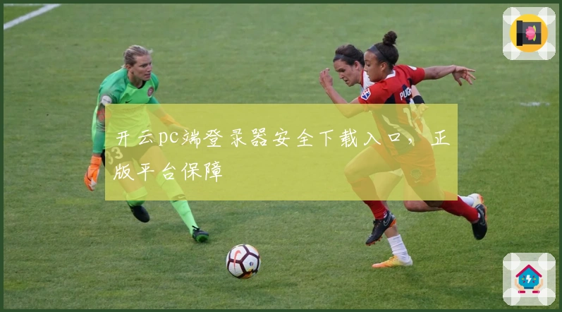 开云pc端登录器安全下载入口,正版平台保障
